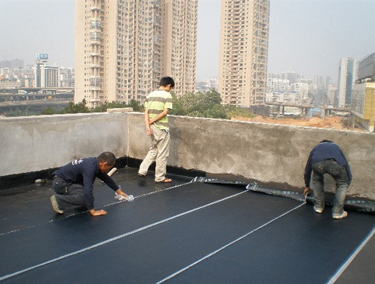 20141111105037273727.jpg 20141111105037273727.jpg